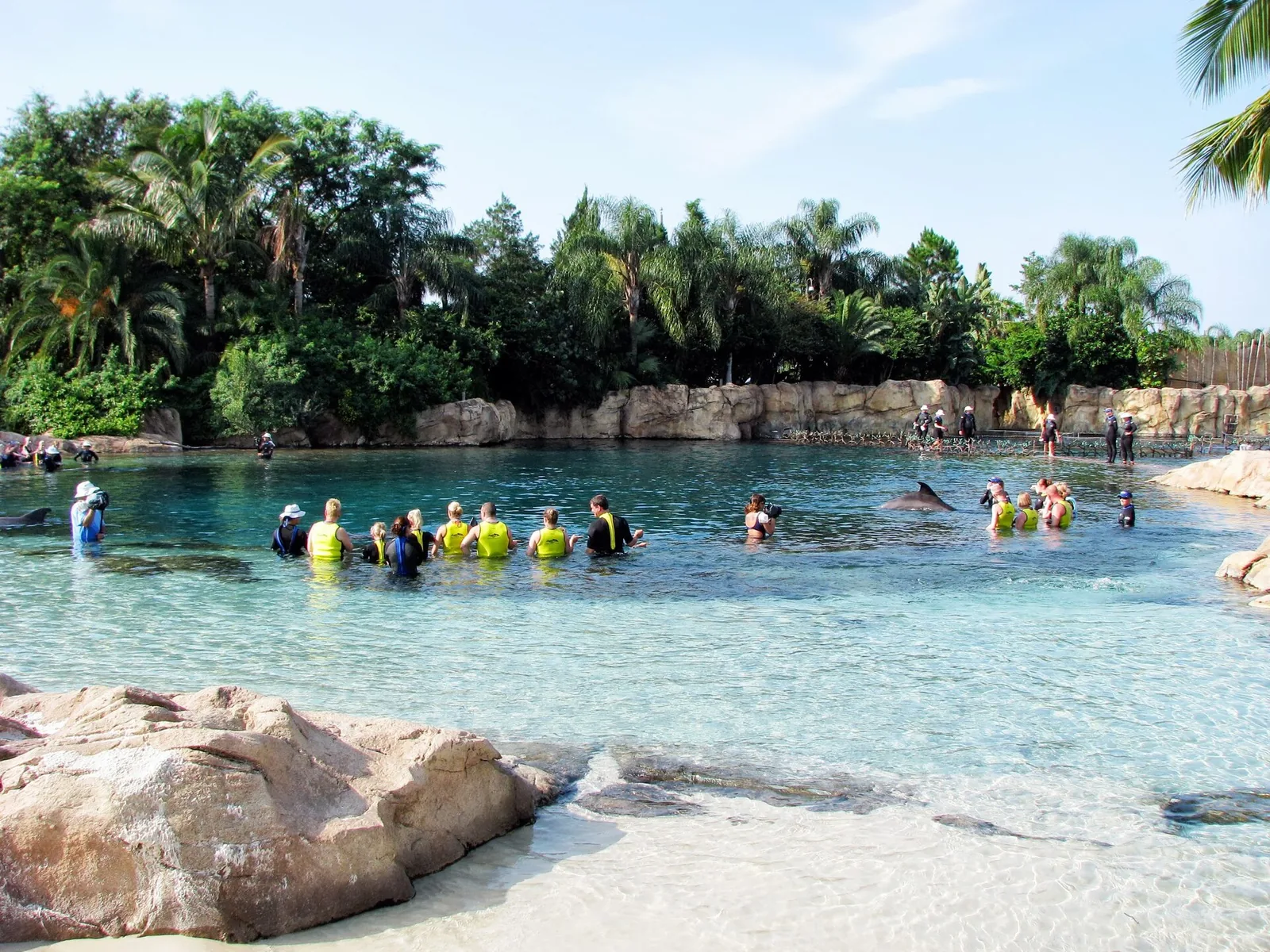 Discovery Cove