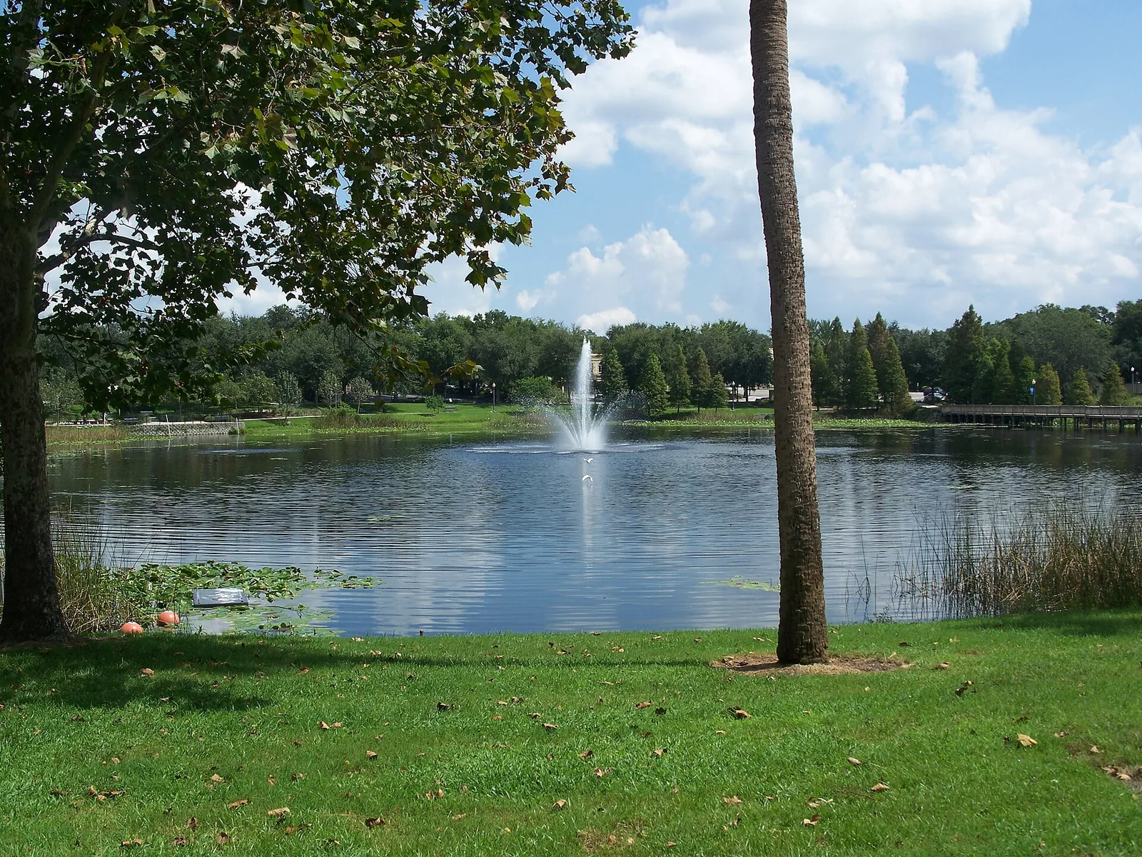 Lake Lily in Maitland, home to the ADP campus