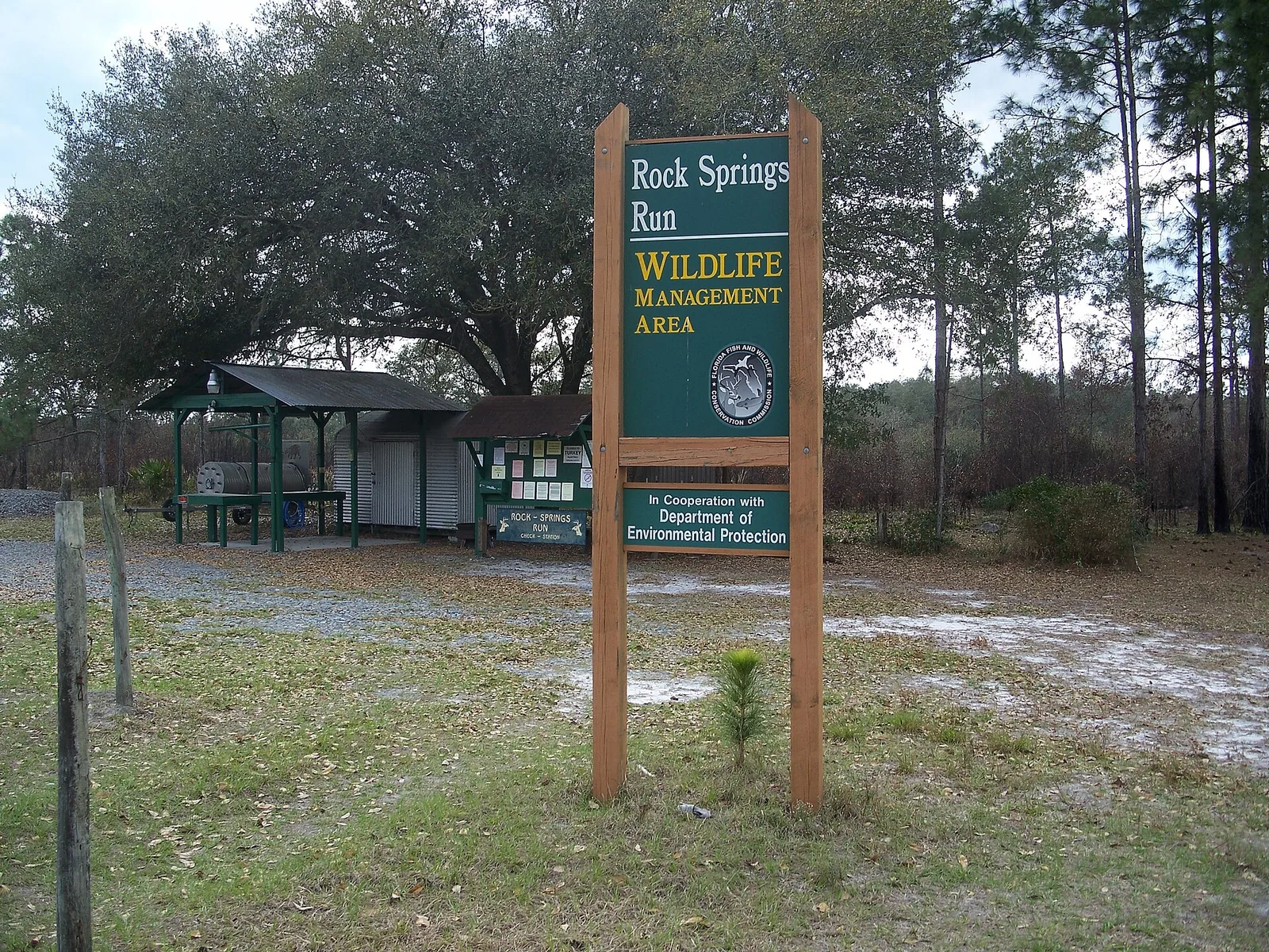 Kelly Park / Rock Springs