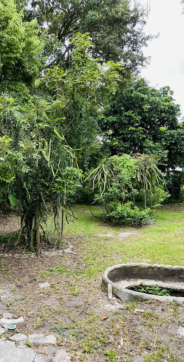 Backyard. at Fruit Tree Home