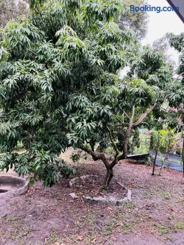 Fruit Tree Home, photo 37
