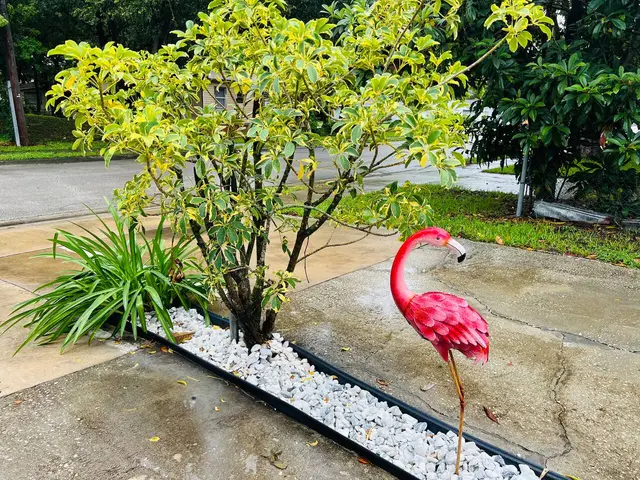 Fruit Tree Home, photo 22