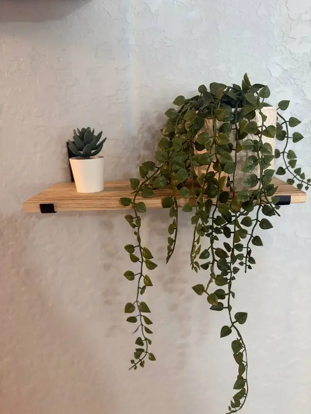 Minimalist wood shelf with lush greenery and modern decor accents at Amelia’s Arena Retreat