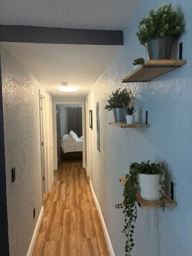 Bright hallway with warm flooring and stylish plant accents at Amelia’s Arena Retreat