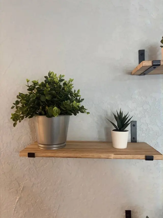 Modern floating shelves with greenery for a fresh, stylish touch at Amelia’s Arena Retreat