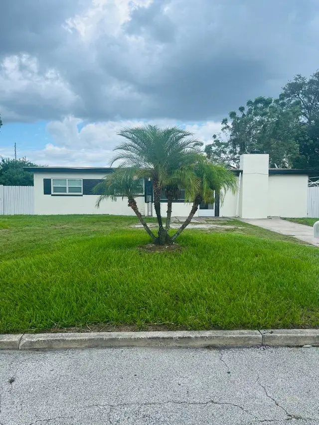 The Clue House, photo 49