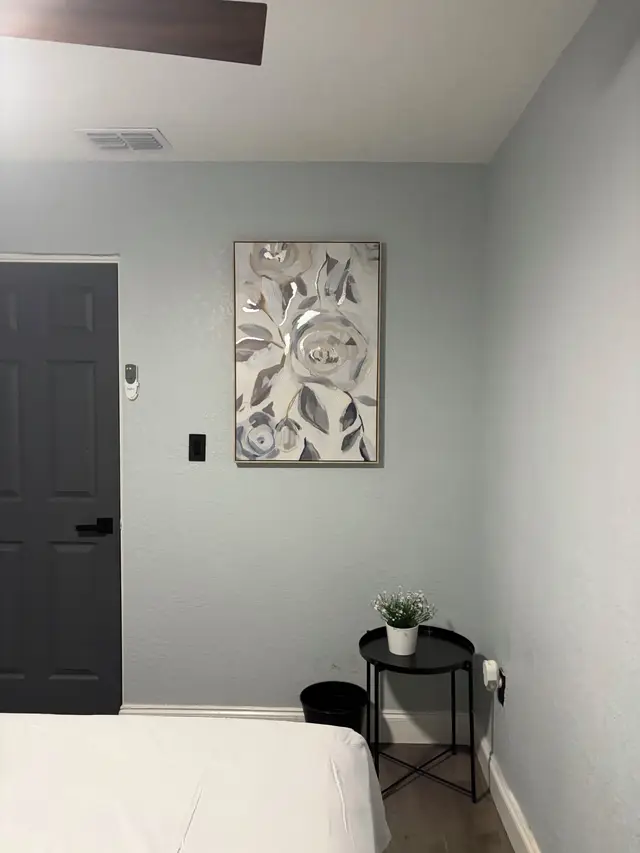 Downtown & Stadium Cozy Retreat, photo 67